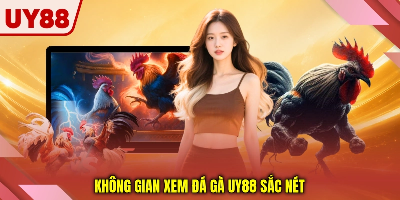 Không gian xem đá gà UY88 sắc nét